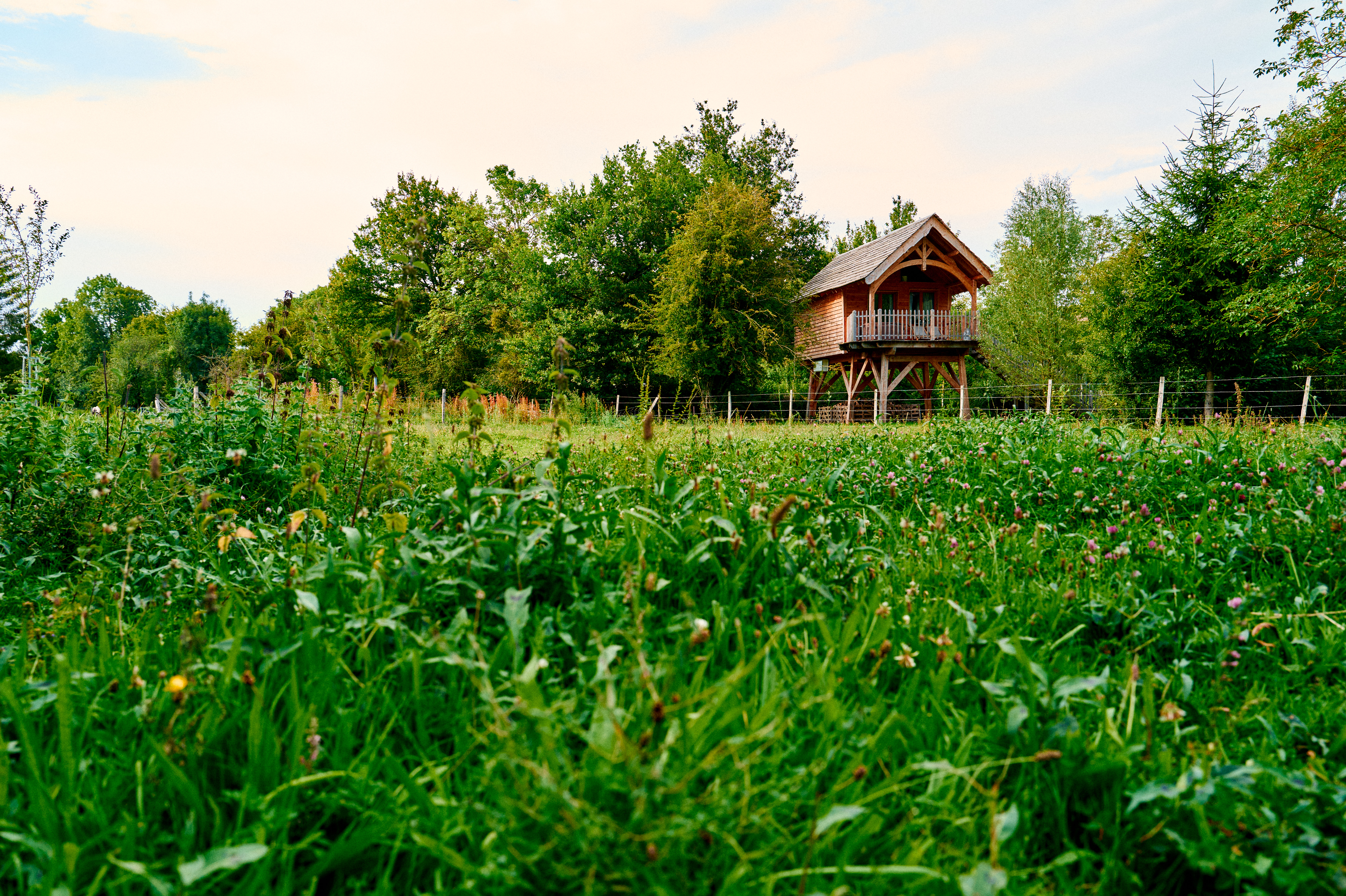 Au vieux moulin - Juillet 2024 31
